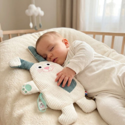 Lapin plat "Lapin calin"